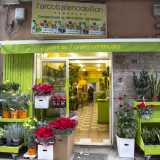 Salutiamo Dina e, superato qualche isolato, sempre in via Crispi, ci troviamo davanti a �L�Arcobaleno dei fiori� che affonda le sue radici nel 1960